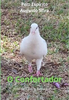 O CONFORTADOR