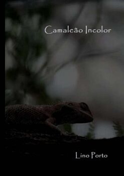 CAMALEO INCOLOR