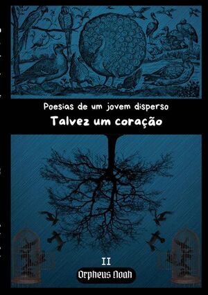 POESIAS DE UM JOVEM DISPERSO II