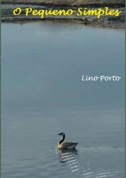 O PEQUENO SIMPLES