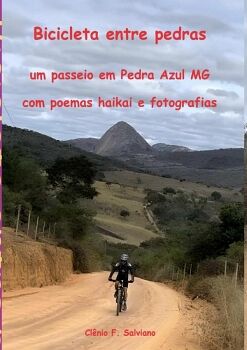 BICICLETA ENTRE PEDRAS