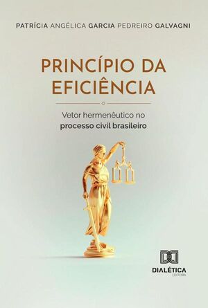 PRINCPIO DA EFICINCIA