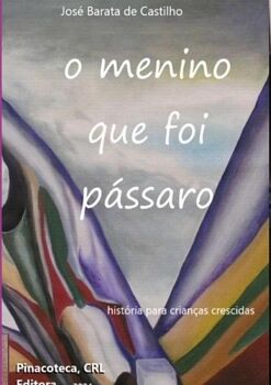 O MENINO QUE FOI P�SSARO