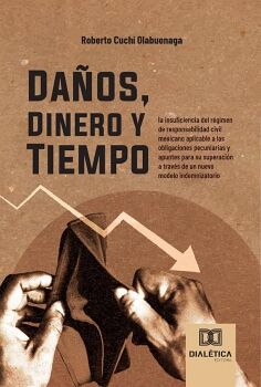 DA�OS, DINERO Y TIEMPO