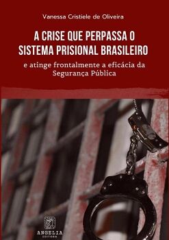 A CRISE QUE PERPASSA O SISTEMA PRISIONAL BRASILEIRO E ATINGE FRONTALMENTE A EFIC�CIA DA SEGURAN�A P�BLICA
