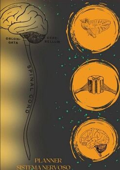 PLANNER - SISTEMA NERVOSO