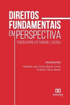 DIREITOS FUNDAMENTAIS EM PERSPECTIVA