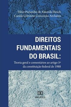 DIREITOS FUNDAMENTAIS DO BRASIL