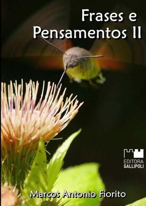 FRASES E PENSAMENTOS II