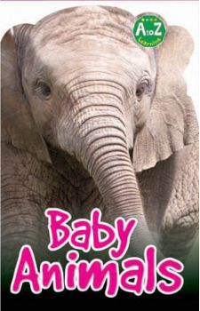 BABY ANIMAL (A TO Z LEARNING)