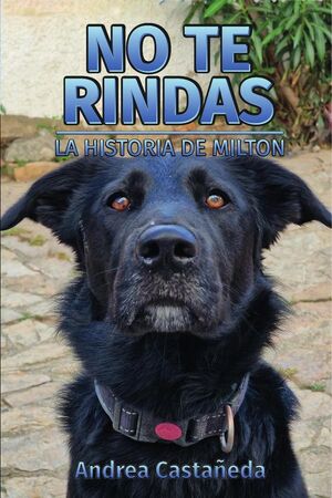 NO TE RINDAS