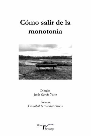 CMO SALIR DE LA MONOTONA