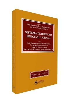 SISTEMA DE DERECHO PROCESAL LABORAL - 3 EDICIN