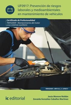 PREVENCI�N DE RIESGOS LABORALES Y MEDIOAMBIENTALES EN MANTENIMIENTO DE VEH�CULOS. TMVG0409 - MANTENIMIENTO DEL MOTOR Y S