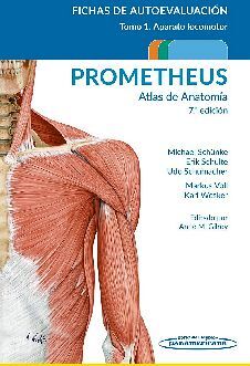 ATLAS DE ANATOMA 7ED. T.1 APARATO LOCOMOTOR/FICHAS AUTOEVALUCIN