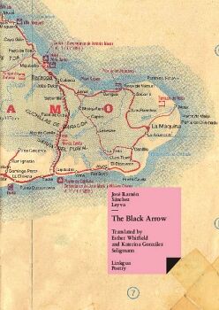 THE BLACK ARROW