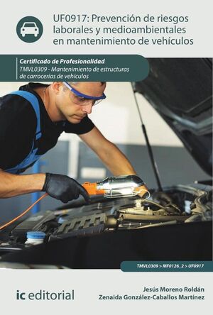 PREVENCI�N DE RIESGOS LABORALES Y MEDIOAMBIENTALES EN MANTENIMIENTO DE VEH�CULOS. TMVL0309 - MANTENIMIENTO DE ESTRUCTURA