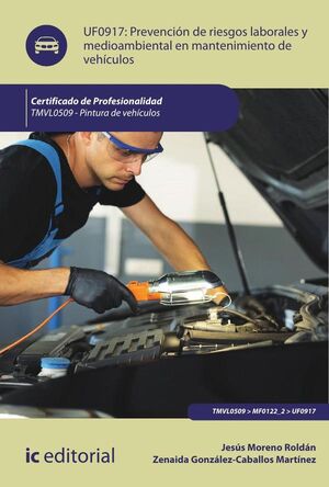 PREVENCI�N DE RIESGOS LABORALES Y MEDIOAMBIENTALES EN MANTENIMIENTO DE VEH�CULOS. TMVL0509 - PINTURA DE VEH�CULOS