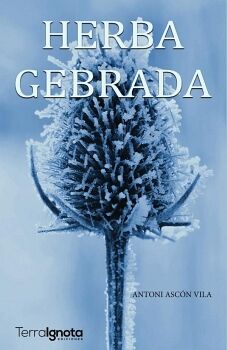 HERBA GEBRADA