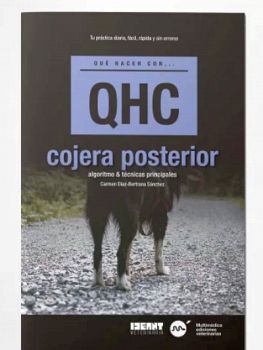 COJERA POSTERIOR