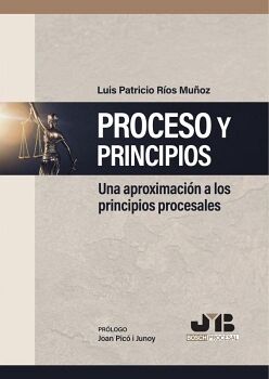 PROCESO Y PRINCIPIOS