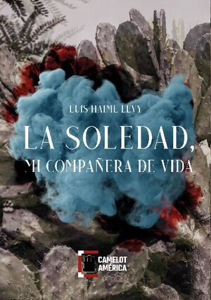 LA SOLEDAD, MI COMPAERA DE VIDA