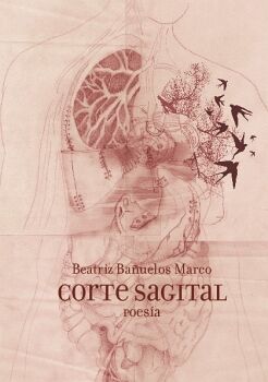 CORTE SAGITAL