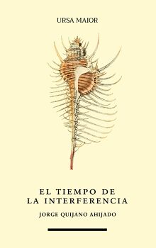 EL TIEMPO DE LA INTERFERENCIA