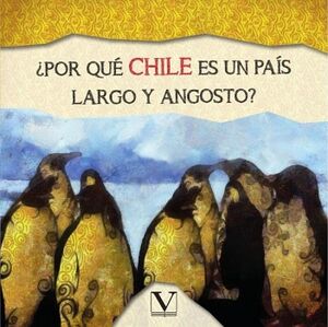 POR QU CHILE ES UN PAS LARGO Y ANGOSTO?