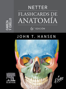 NETTER FLASHCARDS DE ANATOMA. CABEZA Y CUELLO 6ED.