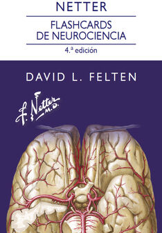 NETTER FLASHCARDS DE NEUROCIENCIA 4ED.