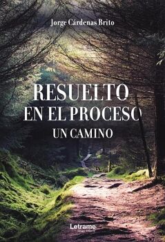 RESUELTO EN EL PROCESO. UN CAMINO