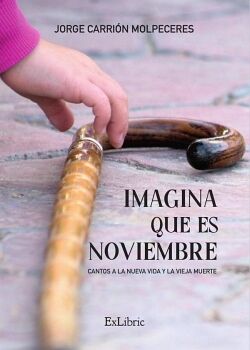 IMAGINA QUE ES NOVIEMBRE