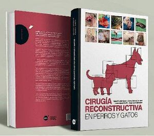 CIRUGA RECONSTRUCTIVA EN PERROS Y GATOS