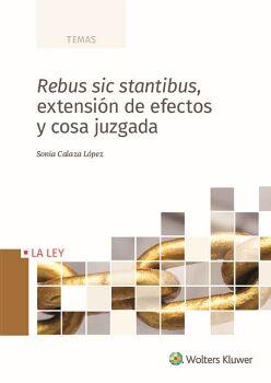 REBUS SIC STANTIBUS, EXTENSIN DE EFECTOS Y COSA JUZGADA