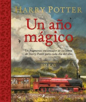 HARRY POTTER: UN AO MGICO ( HARRY POTTER )