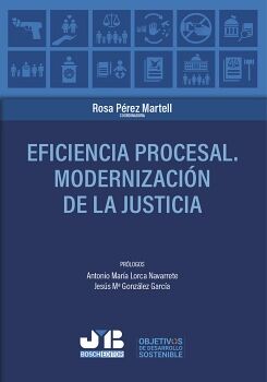 EFICIENCIA PROCESAL. MODERNIZACIN DE LA JUSTICIA