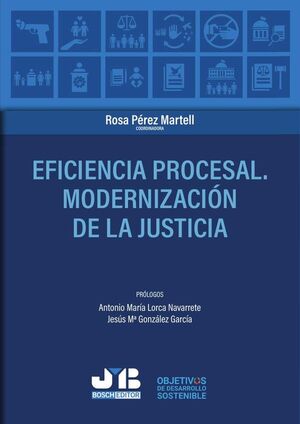 EFICIENCIA PROCESAL. MODERNIZACI�N DE LA JUSTICIA