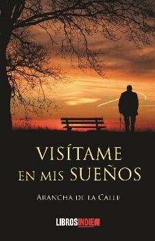VIS�TAME EN MIS SUE�OS