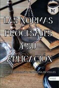 LAS NORMAS PROCESALES Y SU APLICACI�N
