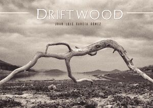 DRIFTWOOD