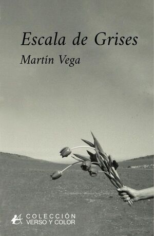ESCALA DE GRISES