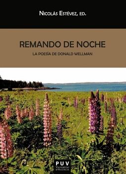 REMANDO DE NOCHE