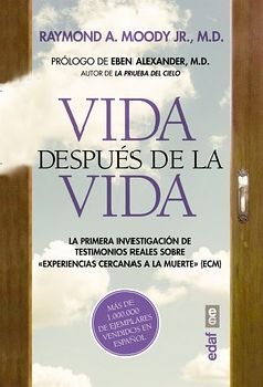 VIDA DESPUS DE LA VIDA -EDICIN ESPAOLA-