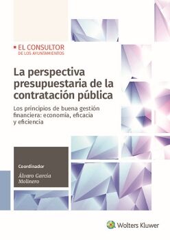 LA PERSPECTIVA PRESUPUESTARIA DE LA CONTRATACIN PBLICA