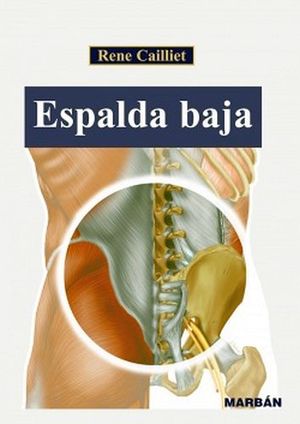 ESPALDA BAJA