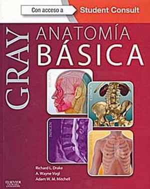 GRAY ANATOMIA BASICA 1ED -C/STUDENT CONSULT-