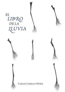 EL LIBRO DE LA LLUVIA