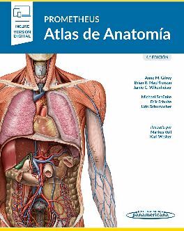 PROMETHEUS. ATLAS DE ANATOMA 4ED.