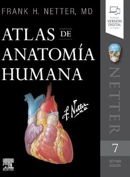 Featured image of post Atlas De Anatomia Humana Mini Netter Frank netter quien en un principio ejerci como m dico aunque r pidamente se perfil como un excelente ilustrador